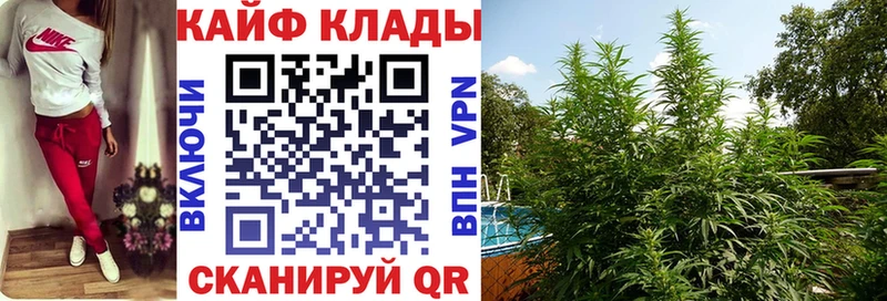 Названия наркотиков Кимовск ГАШИШ блэк спрут ONION МЕФ Конопля