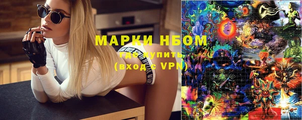 амф Майский
