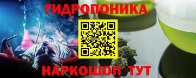 прущие грибы Балашиха