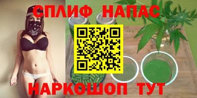 прущие грибы Балашиха