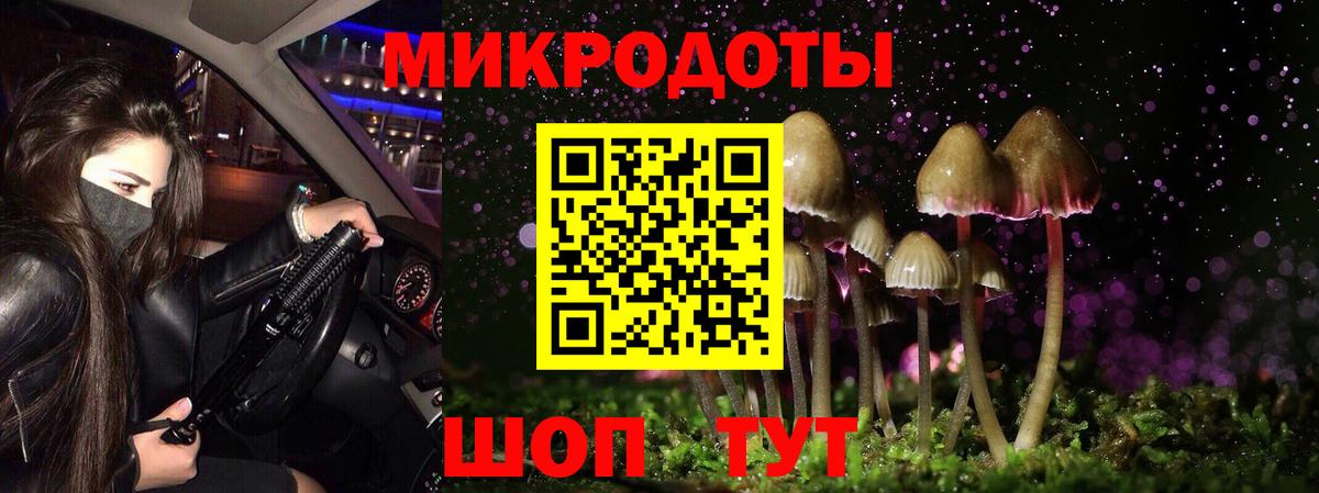 Псилоцибиновые грибы GOLDEN TEACHER  Галлюциногенные грибы GOLDEN TEACHER  Вход с VPN  Кимовск 